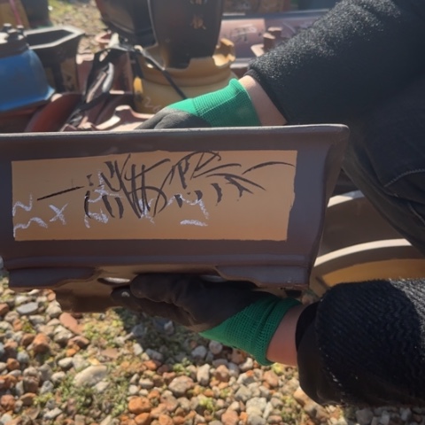 紫砂花盆紫砂花盆盆景盆栽瑕疵