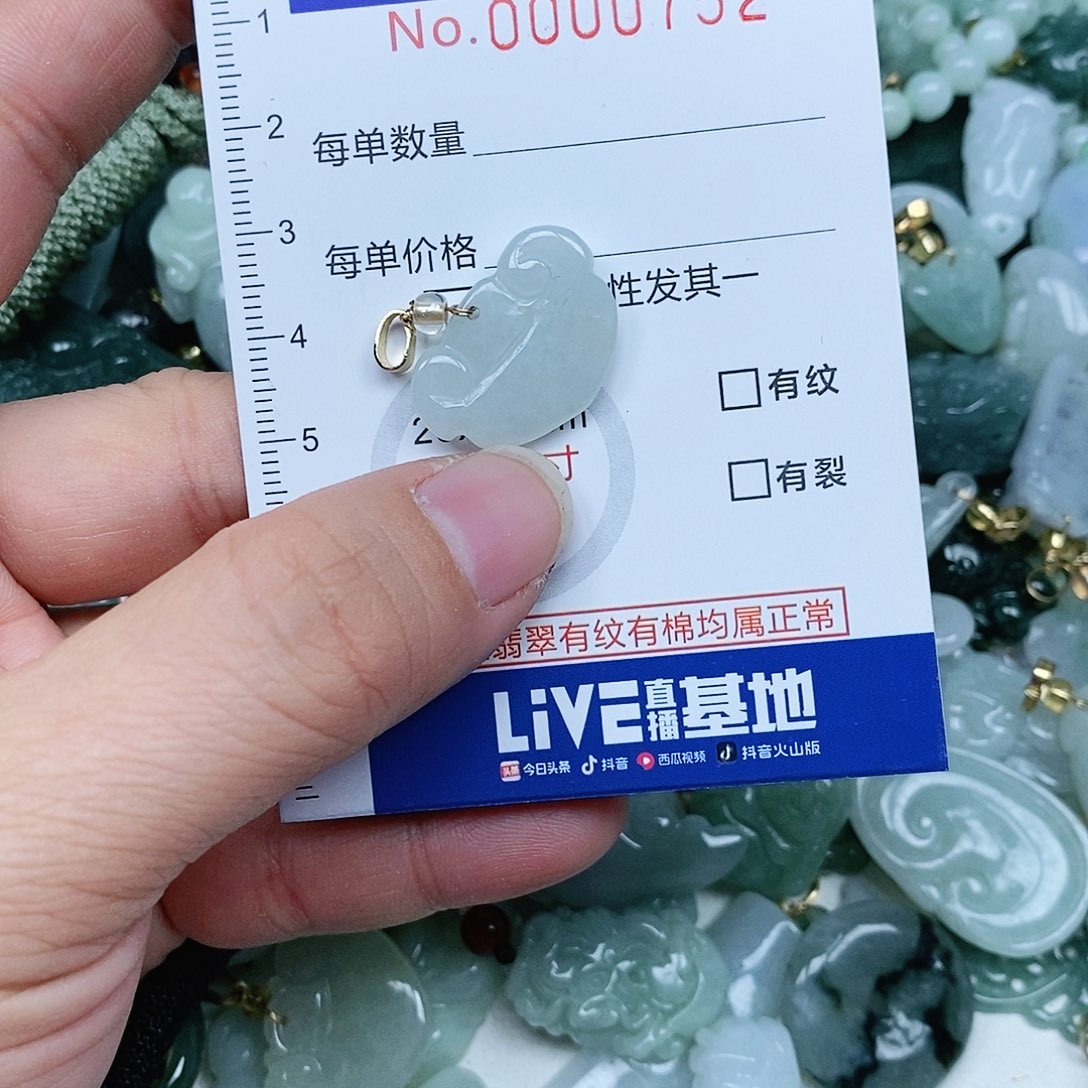 翡翠吊坠(赠链)未镶嵌