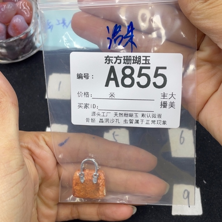 硅化珊瑚（珊瑚玉）颈饰合金洛*C