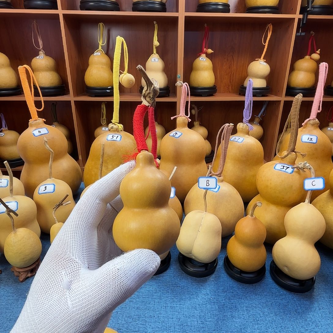 杨***豆葫芦葫芦葫芦葫芦