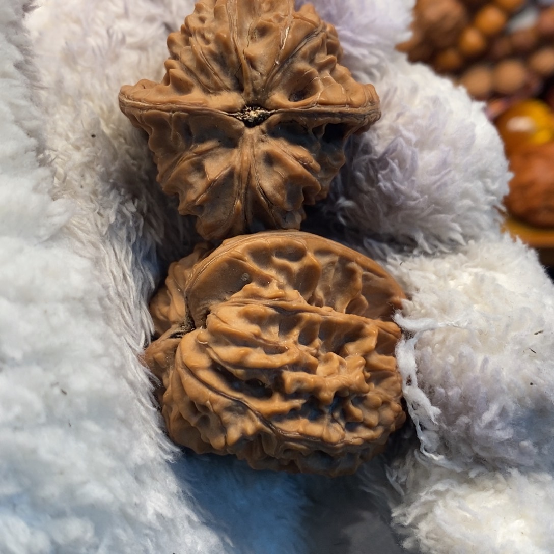 秦岭森林茂密和植被稀疏