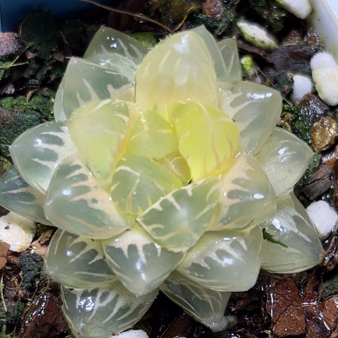 恭喜发财大吉大利923