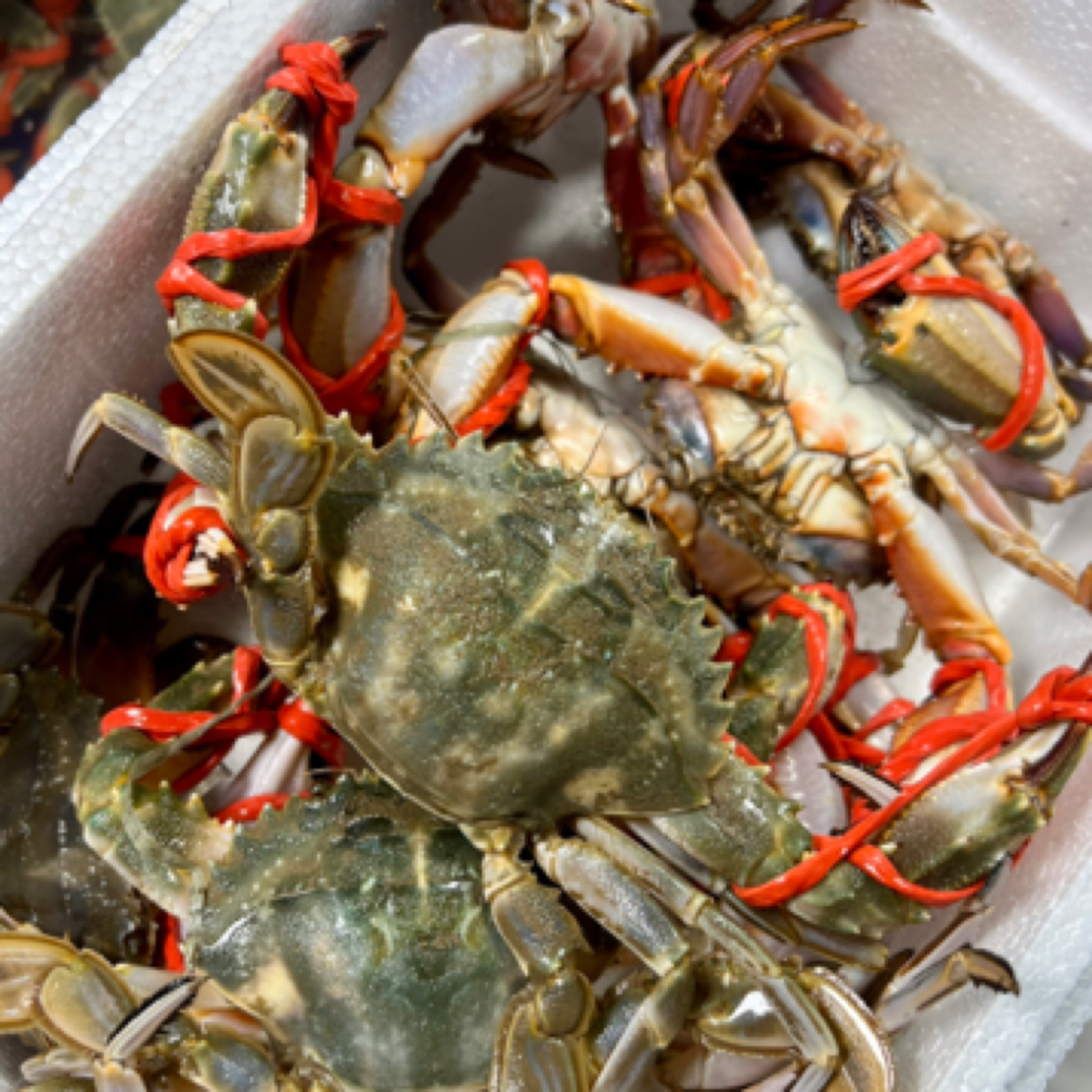 花盖蟹，肉质鲜美