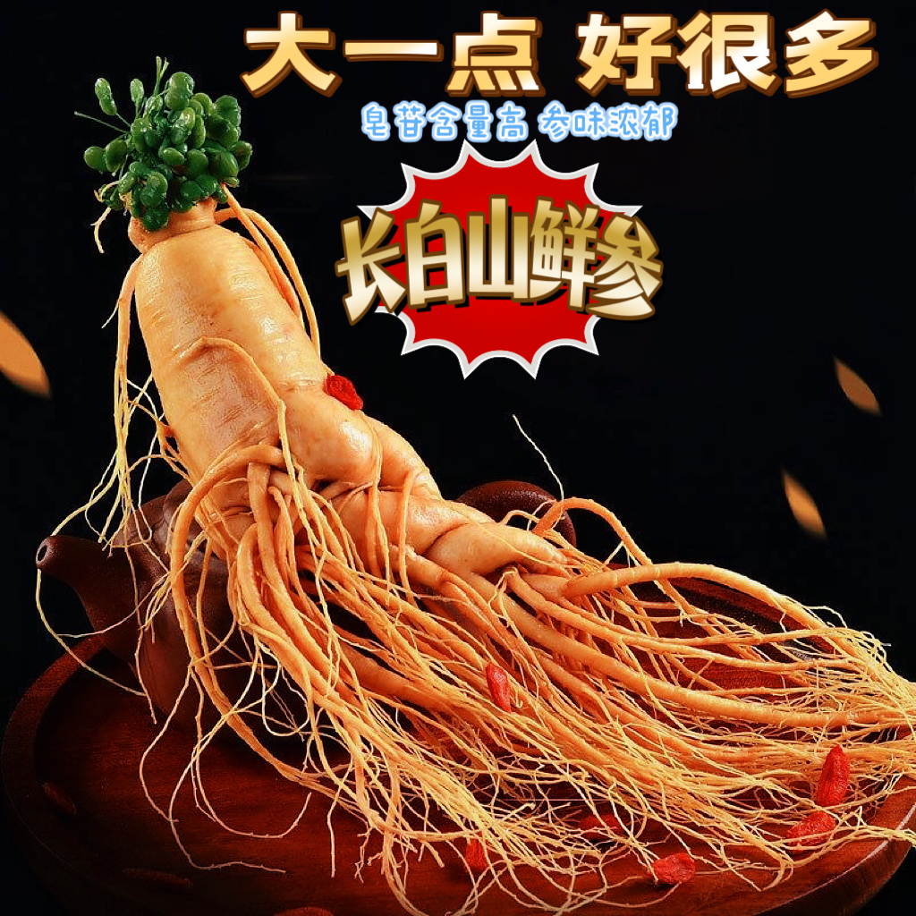 1号链接同款 泡80斤酒399同款鲜人参一根