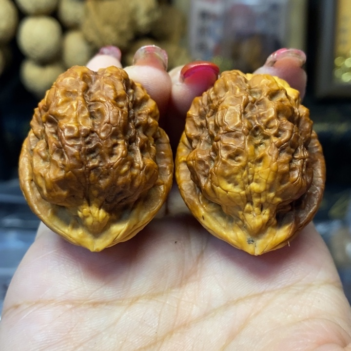 吊坠文玩核桃41古柏金蟾