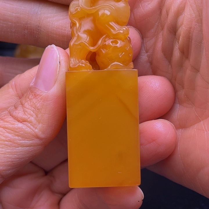 老挝石老挝石古兽的