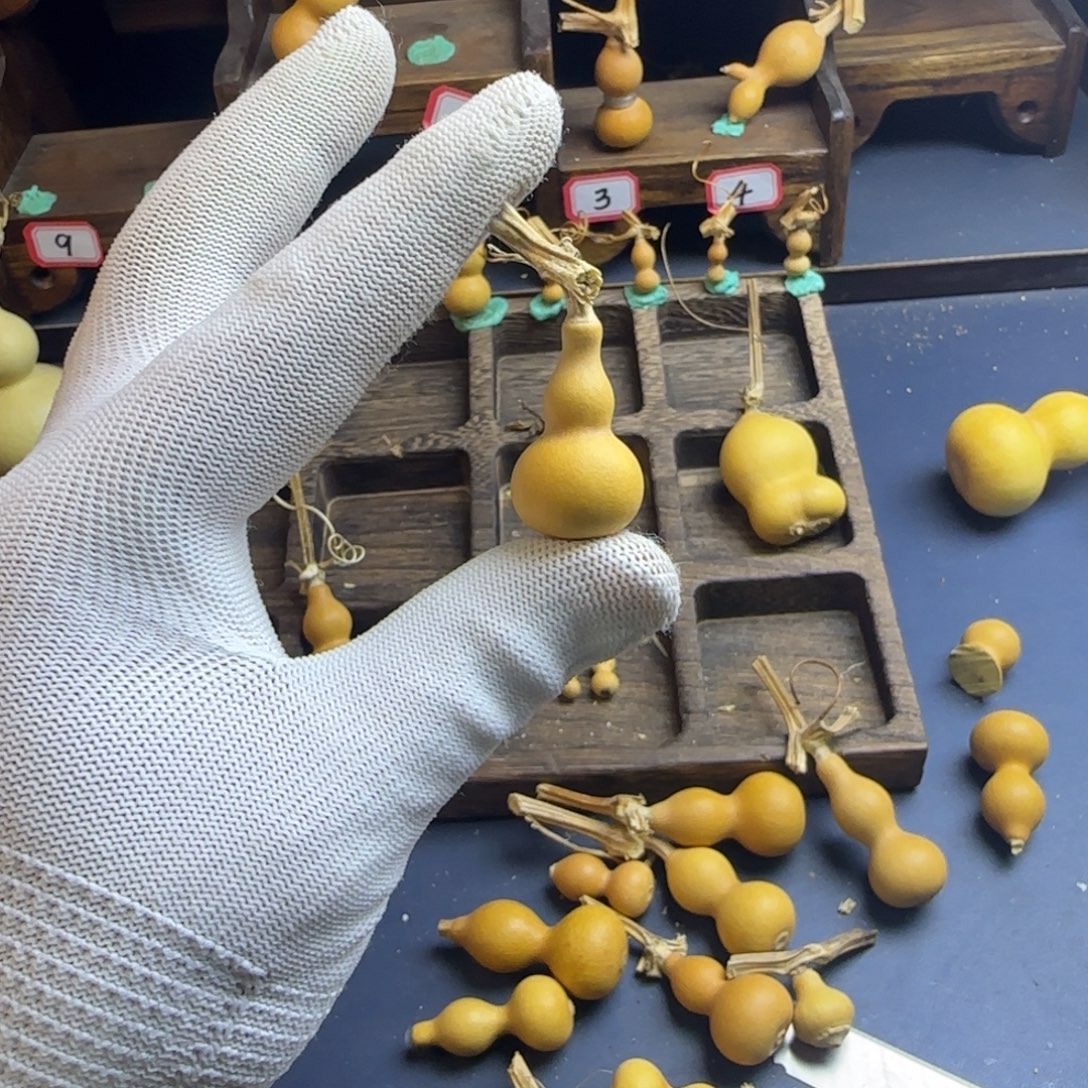 P***X我是一只小小鸟地域文化特色社会主义核心价值观