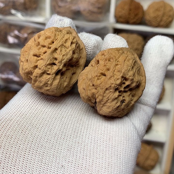 核桃40尺古坨蟾13号