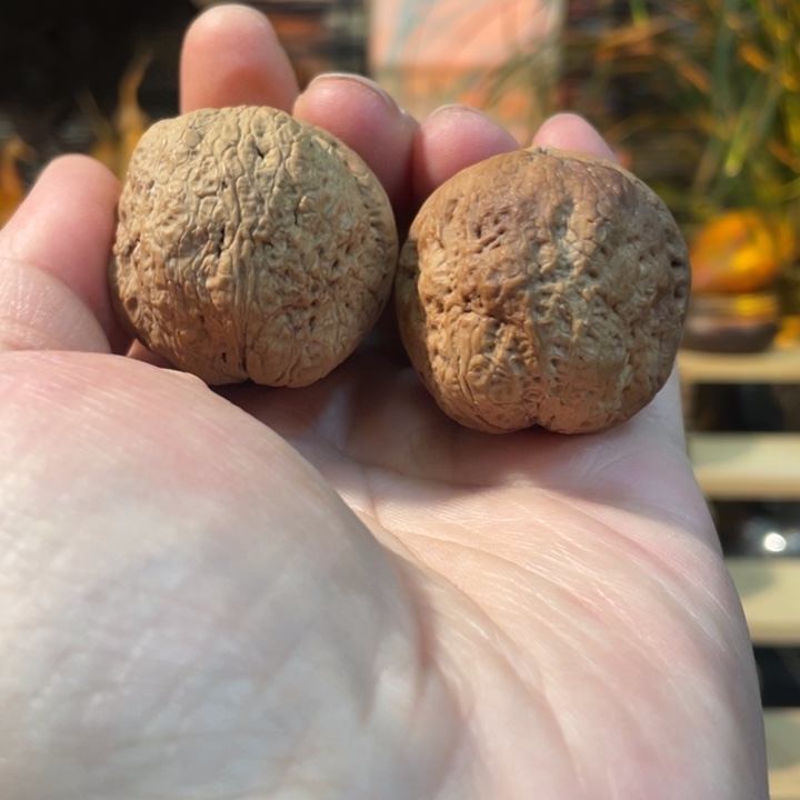 把件文玩核桃编号16