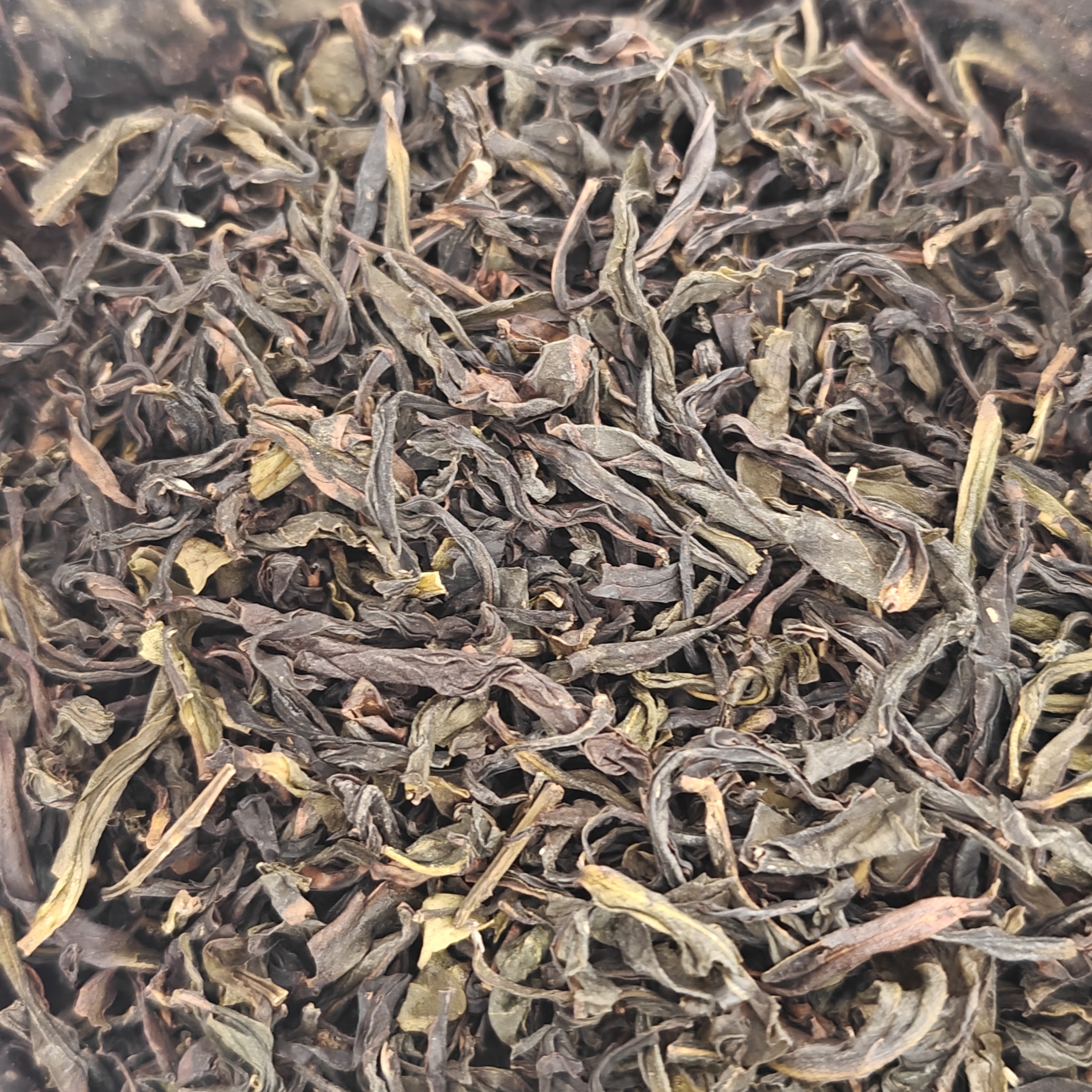 蜜兰香凤凰单丛乌龙茶潮汕工夫茶清香型口粮茶原产地一斤一袋