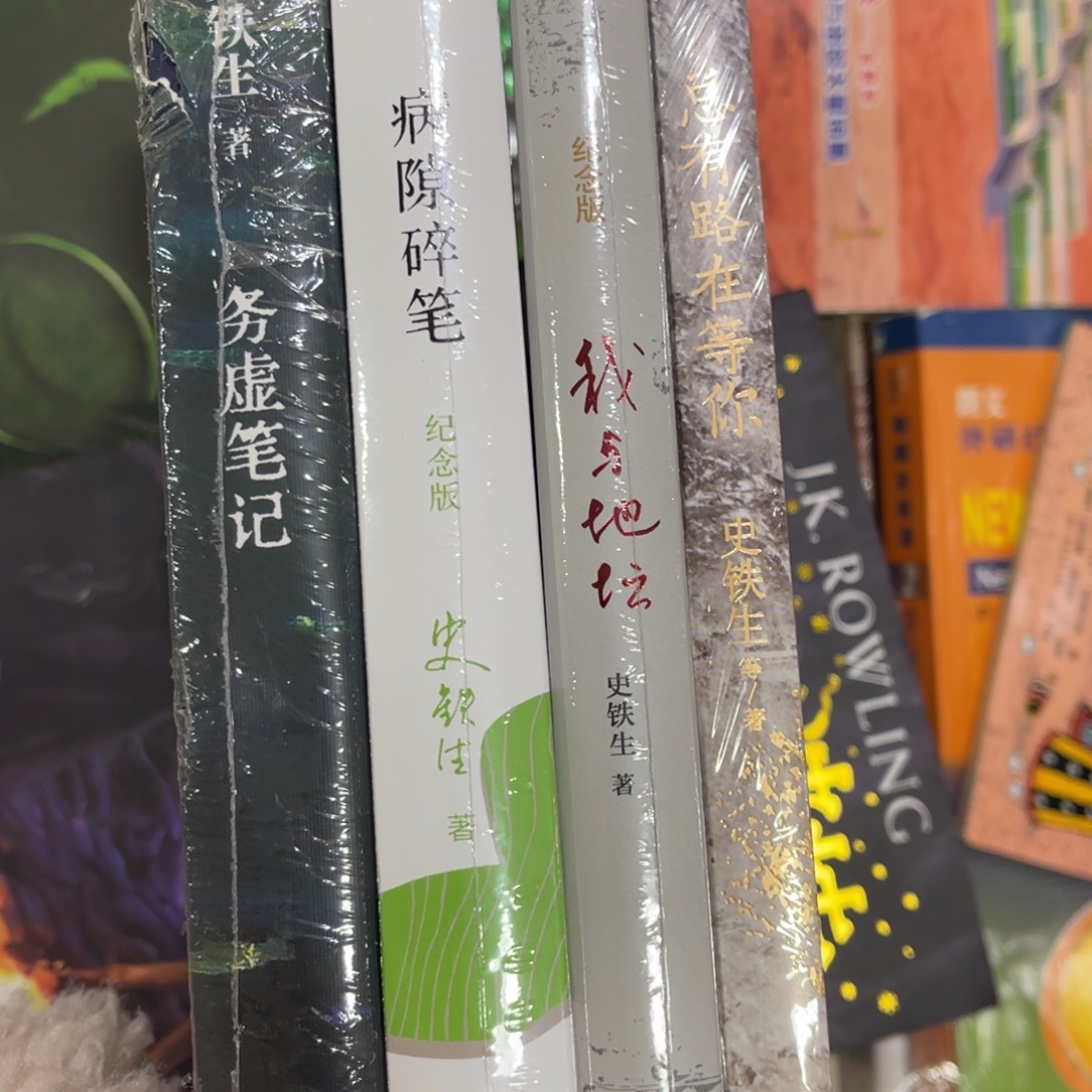 玄***白务虚笔记 病隙碎笔 总有路在等你 我与地坛