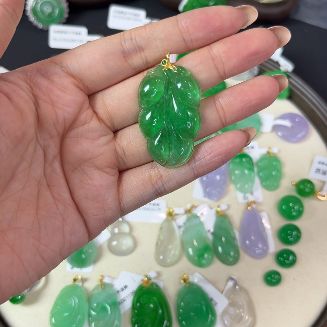 维***）直播编号树叶x9935