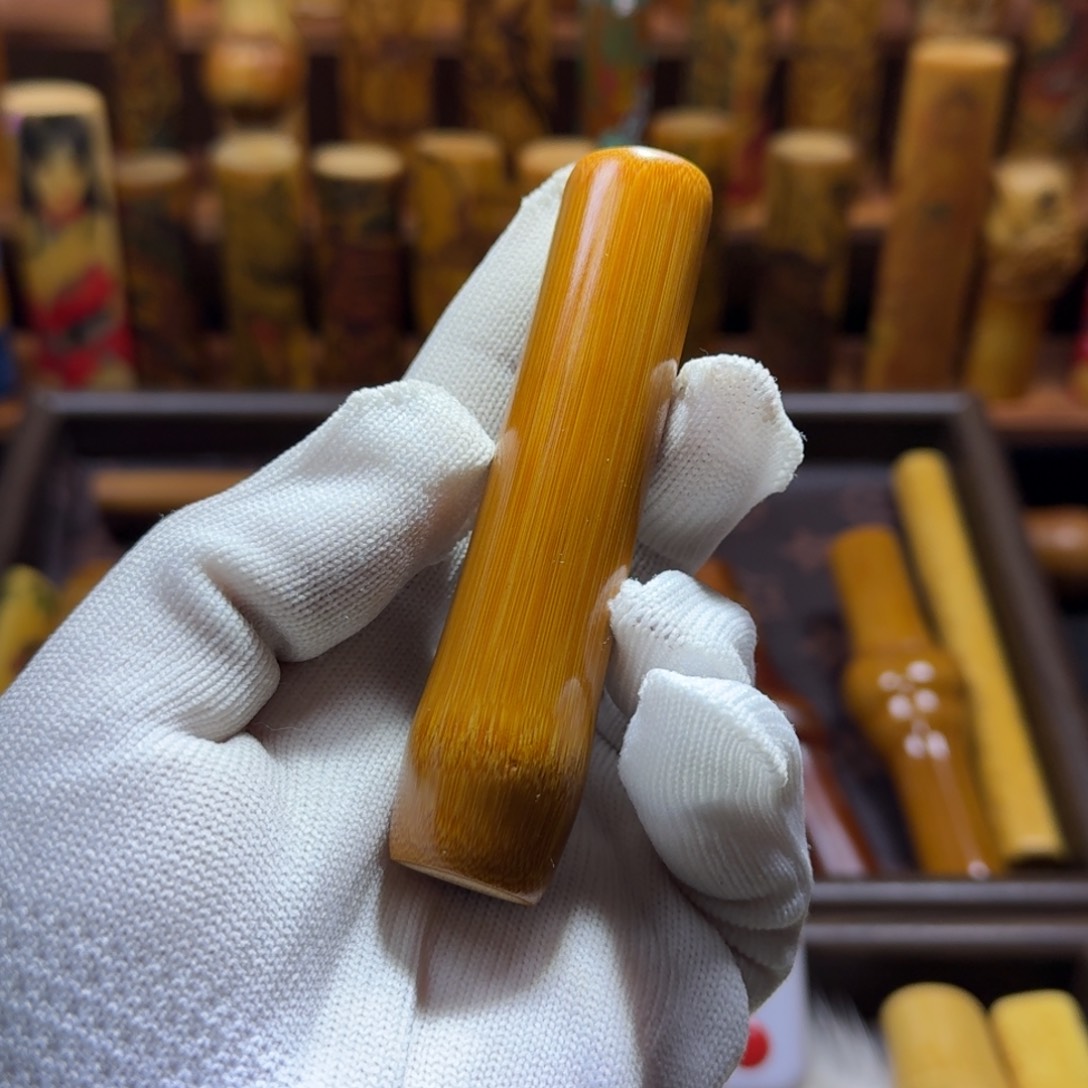 竹类精品实心玉竹