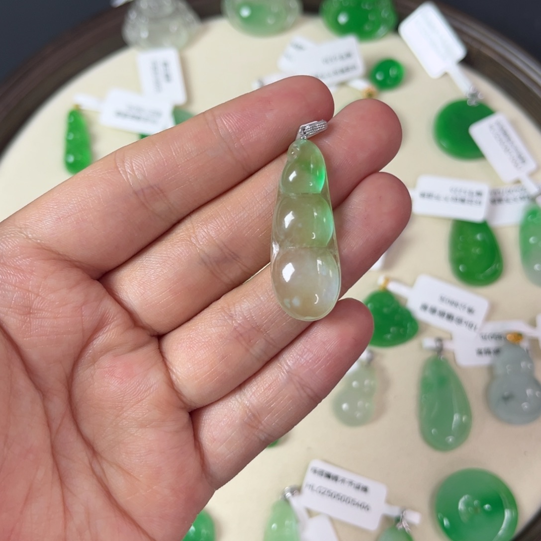 c****i福豆直播编号S5363