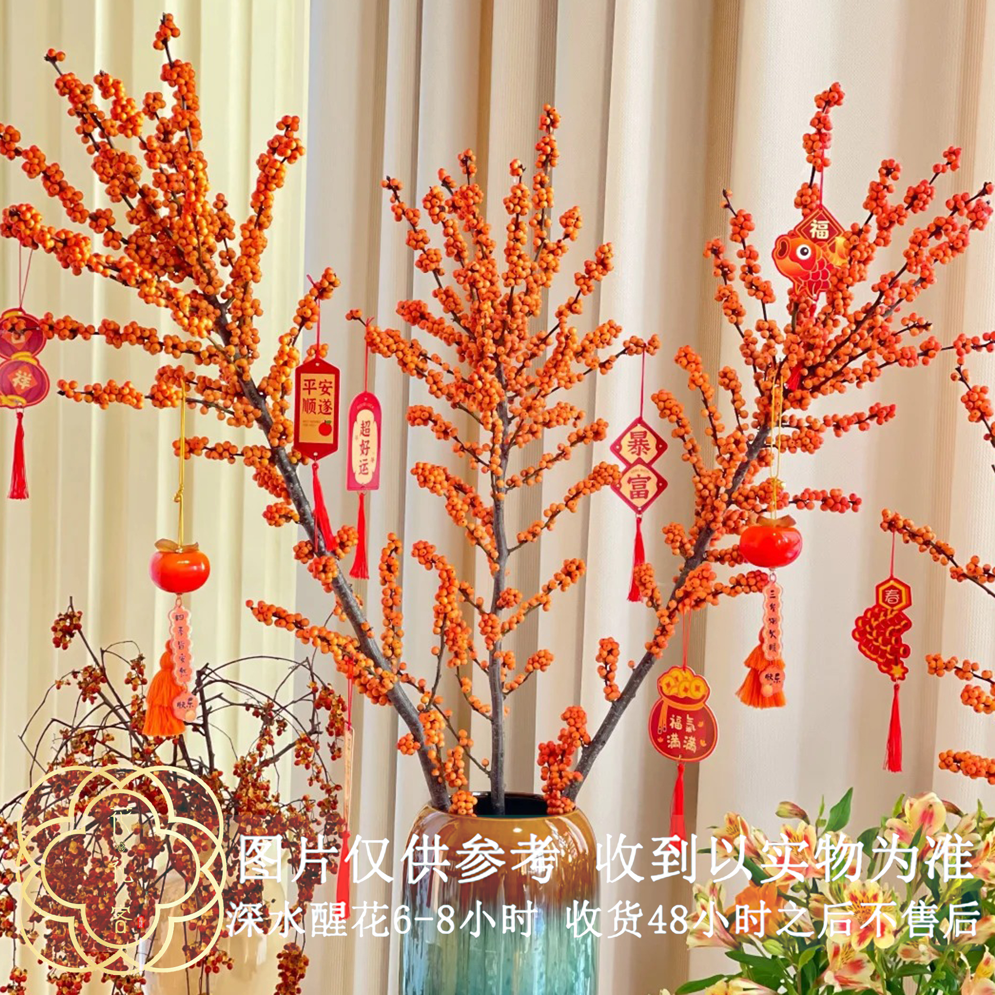 花礼客#【冬青80cm左右】天物冬青 北美冬青  顺丰直发