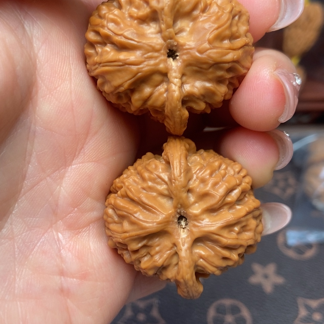 大叶紫檀（黑酸枝木类）苹果园