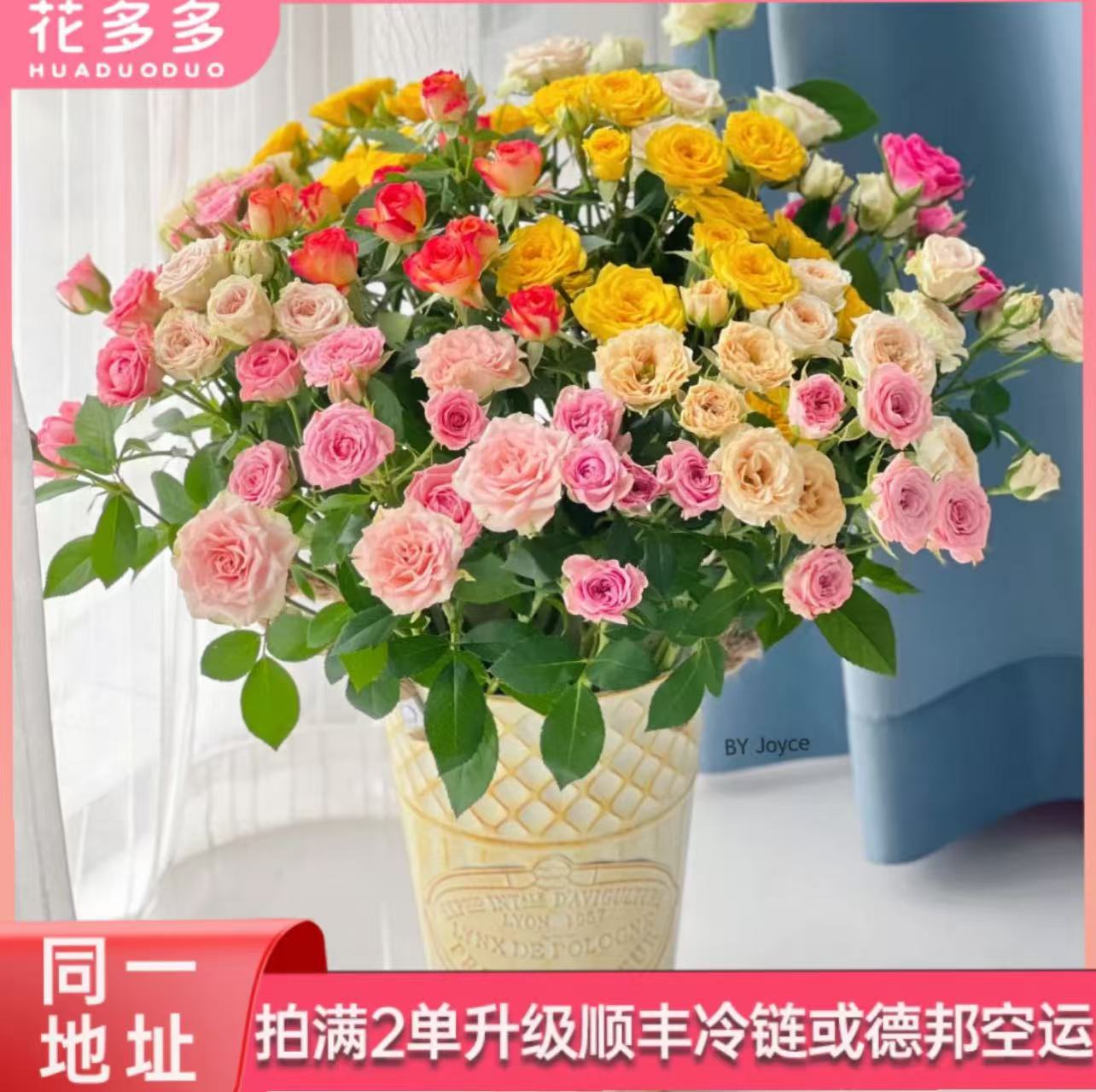 【彩拼】稀有混色多头玫瑰 全场鲜花任意满两单升级冷链 三单送花瓶