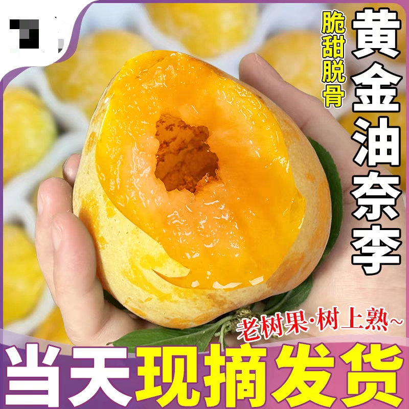 正宗奈李新鲜现摘脆甜多汁当季水果包邮