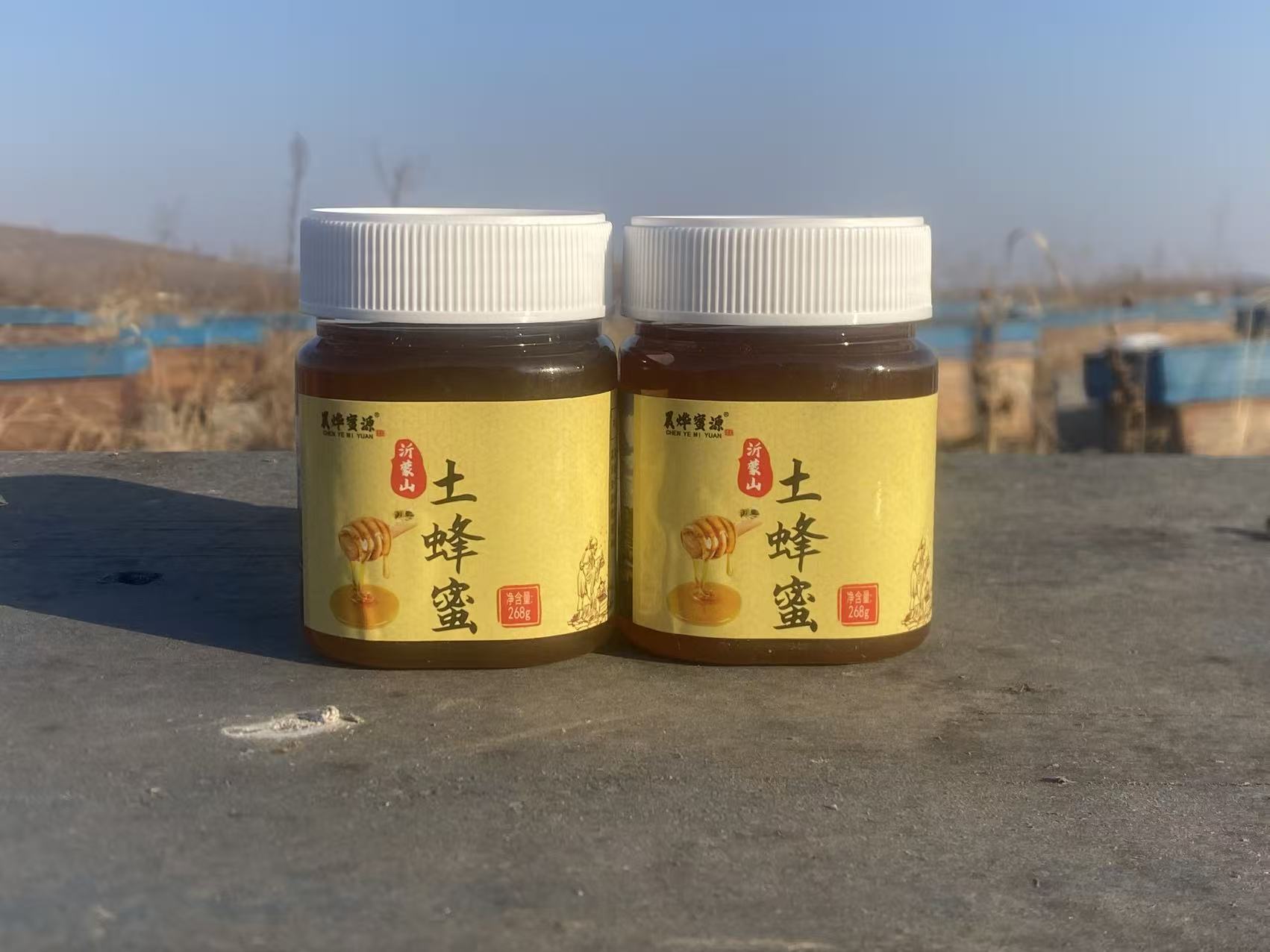 中华小土蜂土蜂蜜268g/瓶
