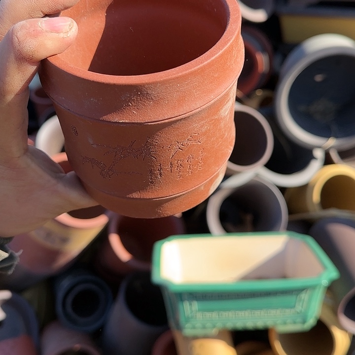 一定很喜欢的样子吧感觉都非常有魅力我会支持一下