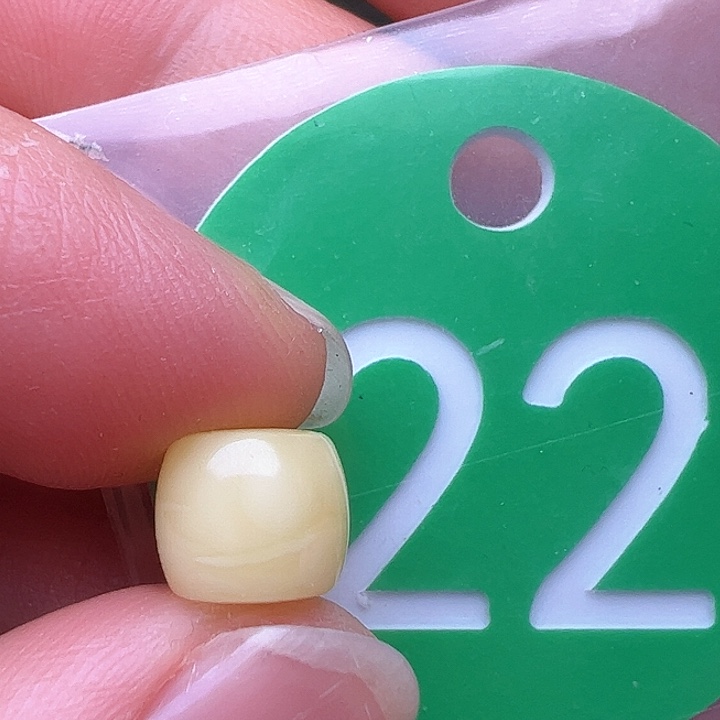 蜜蜡裸石未镶嵌8m m