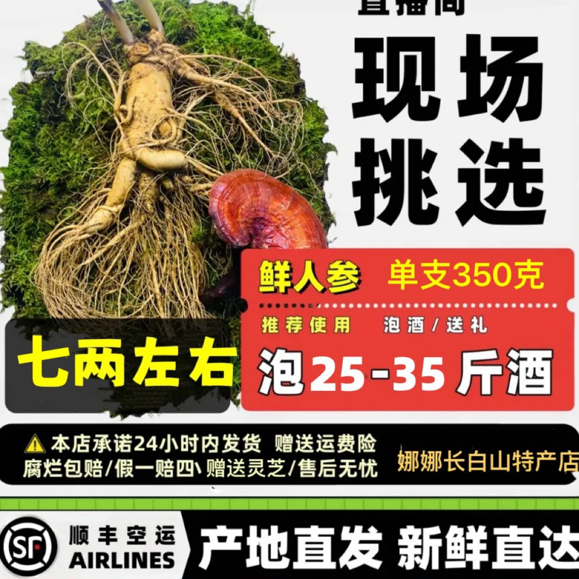 新鲜东北长白山带土鲜人参现挖可泡酒送人送礼