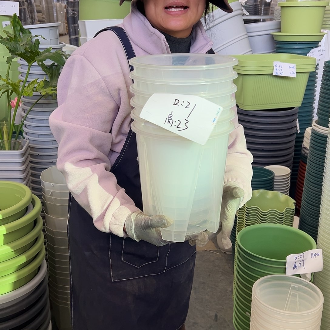 瑕疵Q21#透明6个无托