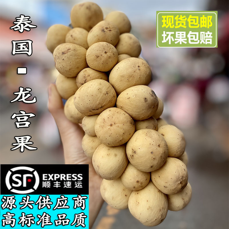 【空运进口】泰国龙宫果椰色果热带水果新鲜酸甜香脆嫩多汁中秋好礼