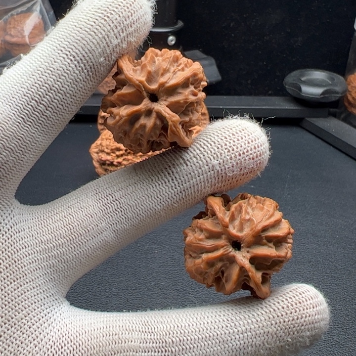 文玩核桃把件32迷你小苹果