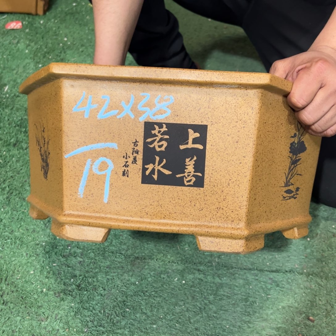 紫砂花盆紫砂花盆