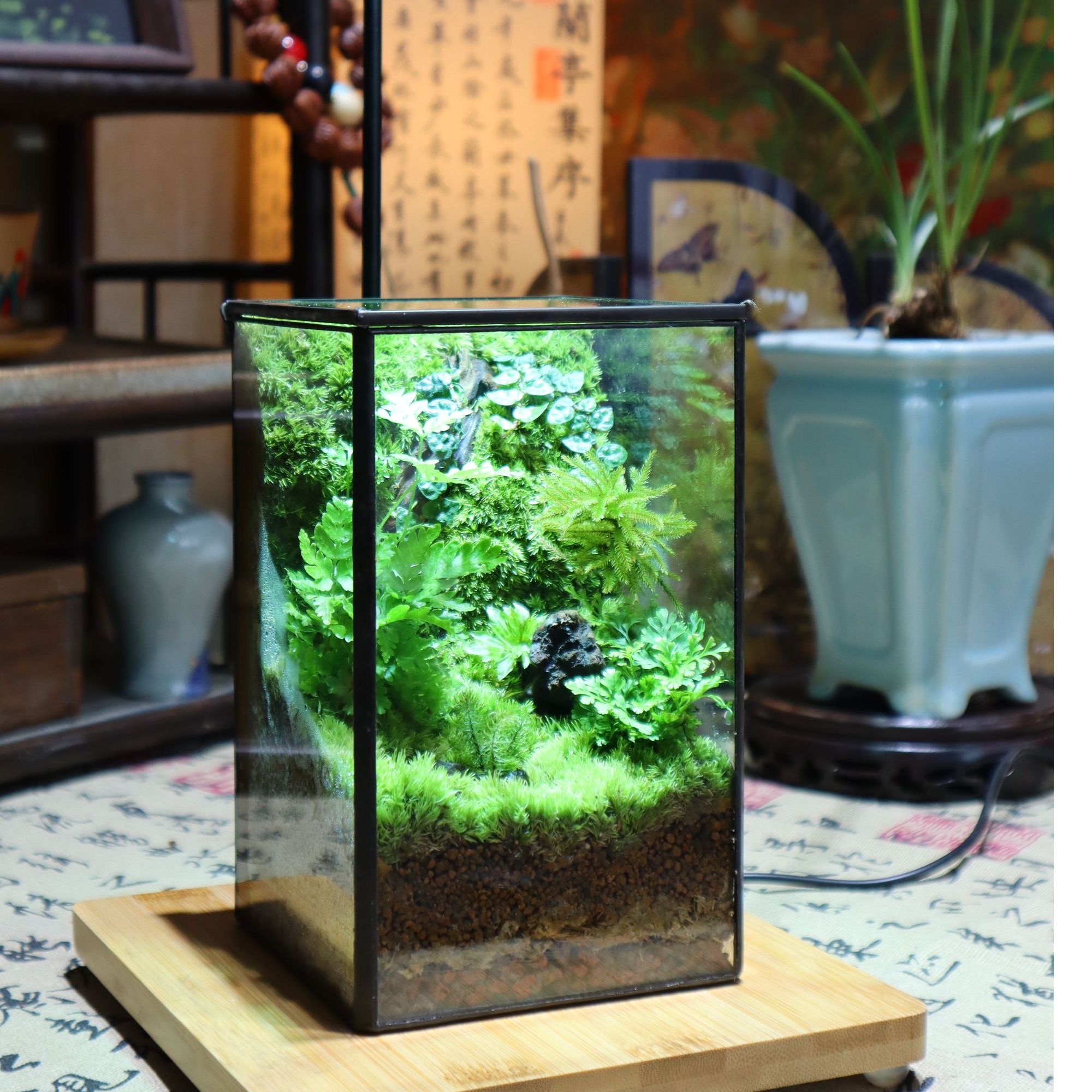 几木清云苔藓微景观玻璃花房办公喝茶搭子一物一拍
