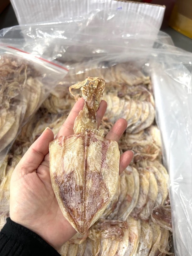 A5本港鱿淡晒淡干适合烧烤香煎的海鲜干货