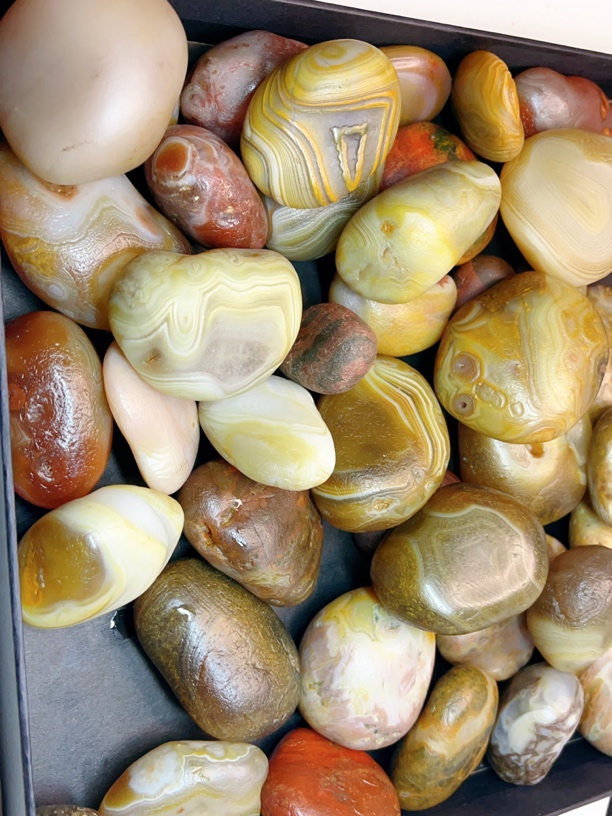 新店开业虎皮石特价