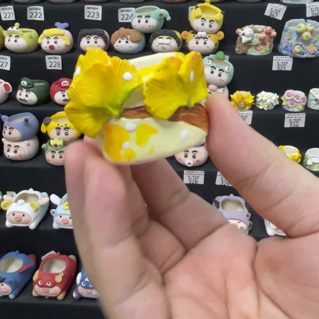 白***g3333333333333333