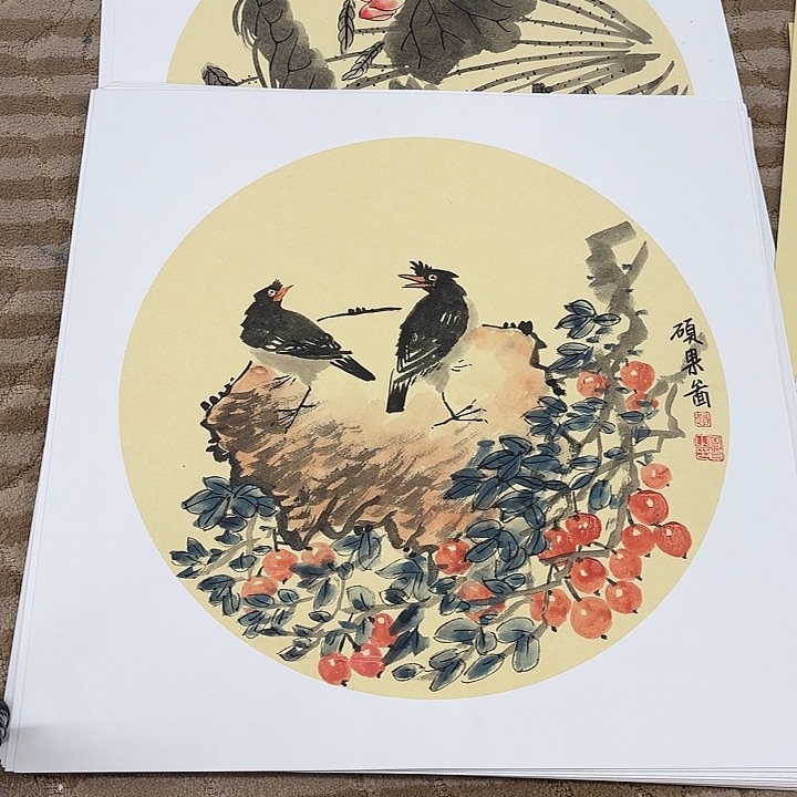 国画花鸟的翅膀是50.50
