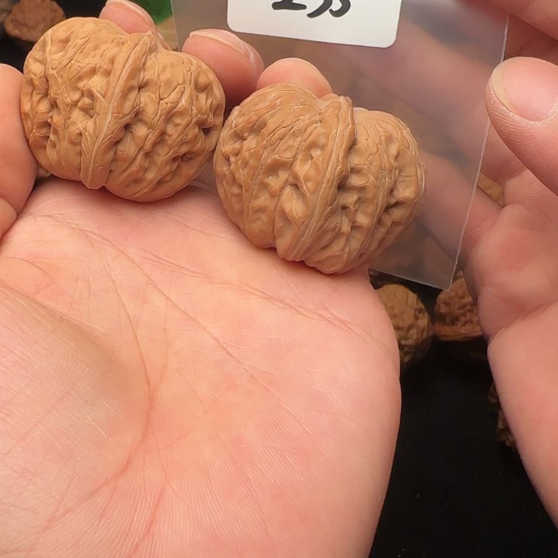 文玩核桃把件235平谷元宝42+