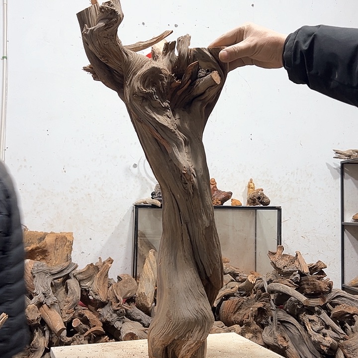 柏木见*我们的生活是以自己