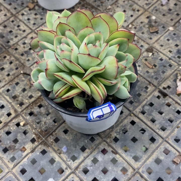 渭****走一物一拍210