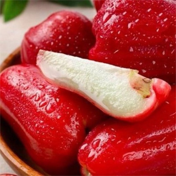 【顺丰包邮】特大果3斤原箱黑金刚莲雾黑金刚莲雾山东省