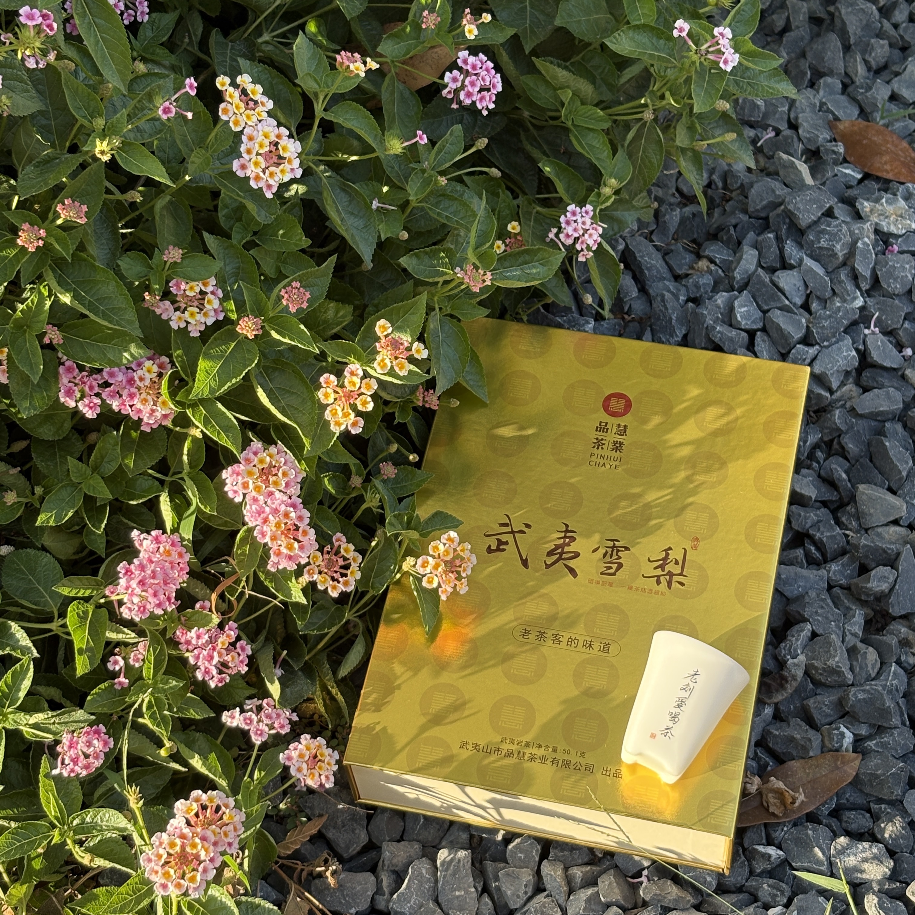 品慧雪梨礼盒6泡装熟果甜香苦感弱茶叶送礼岩茶