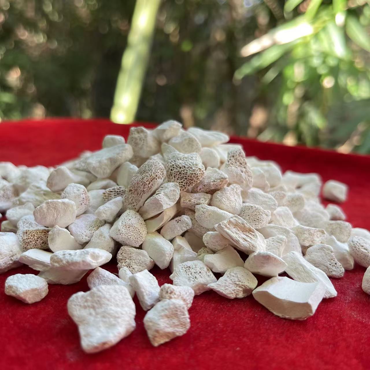1【龙-骨】净含量50g-250g【阿虎现收】