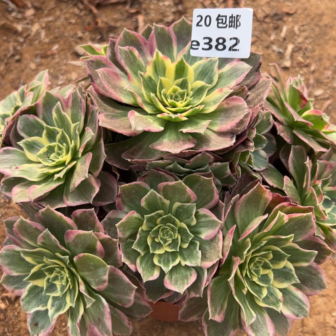 382万花筒，满20包邮