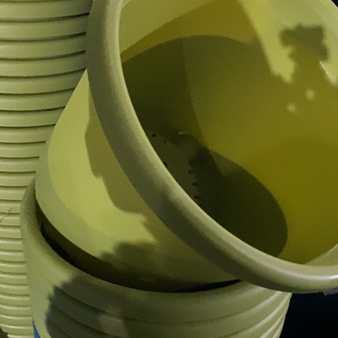 树脂四季5号果绿无托6个