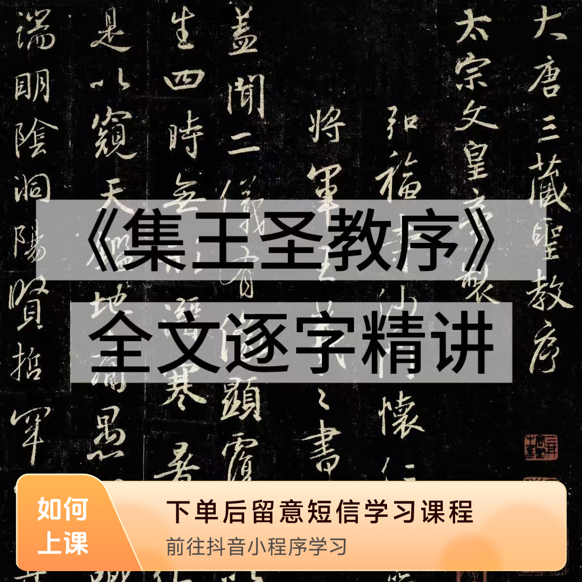 贺尔老师《集王羲之圣教序》全文逐字精讲课程
