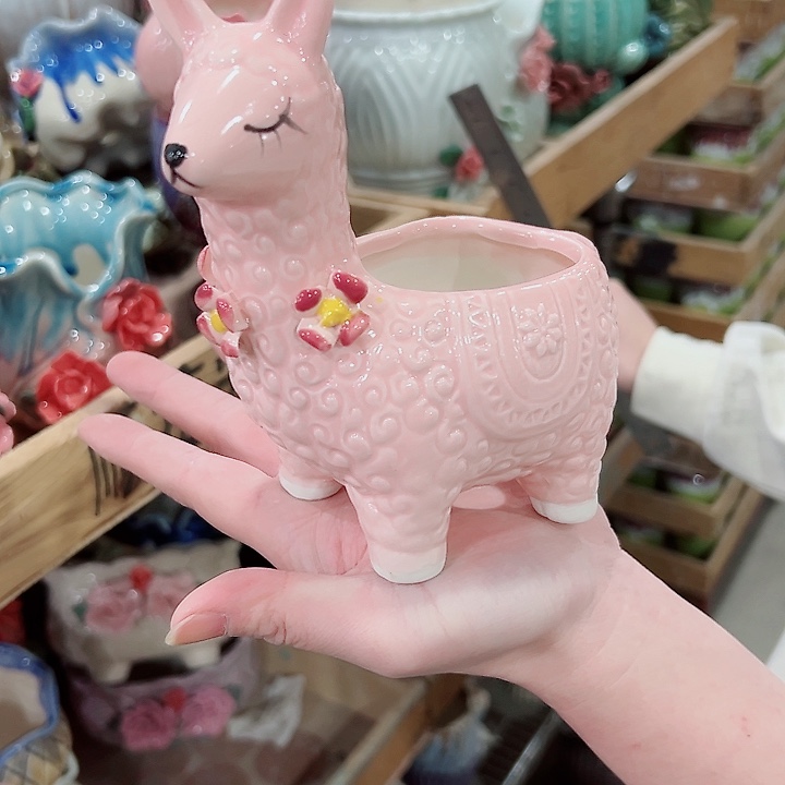 有孔.凑满10元发货多肉陶瓷花盆！