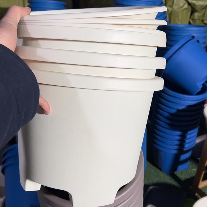 正品米白32外径带托盘3个