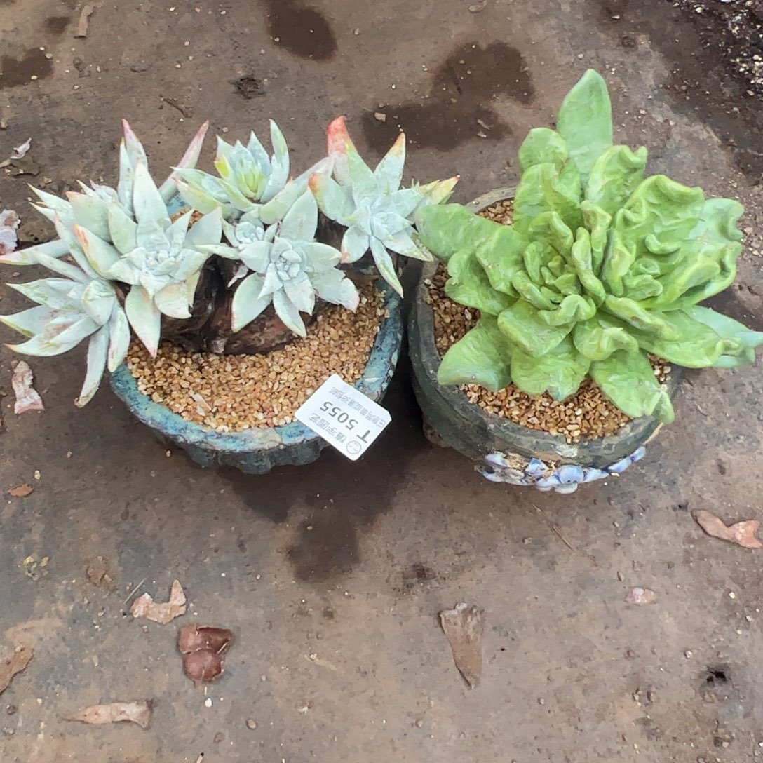 哈哈哈哈哈哈哈哈