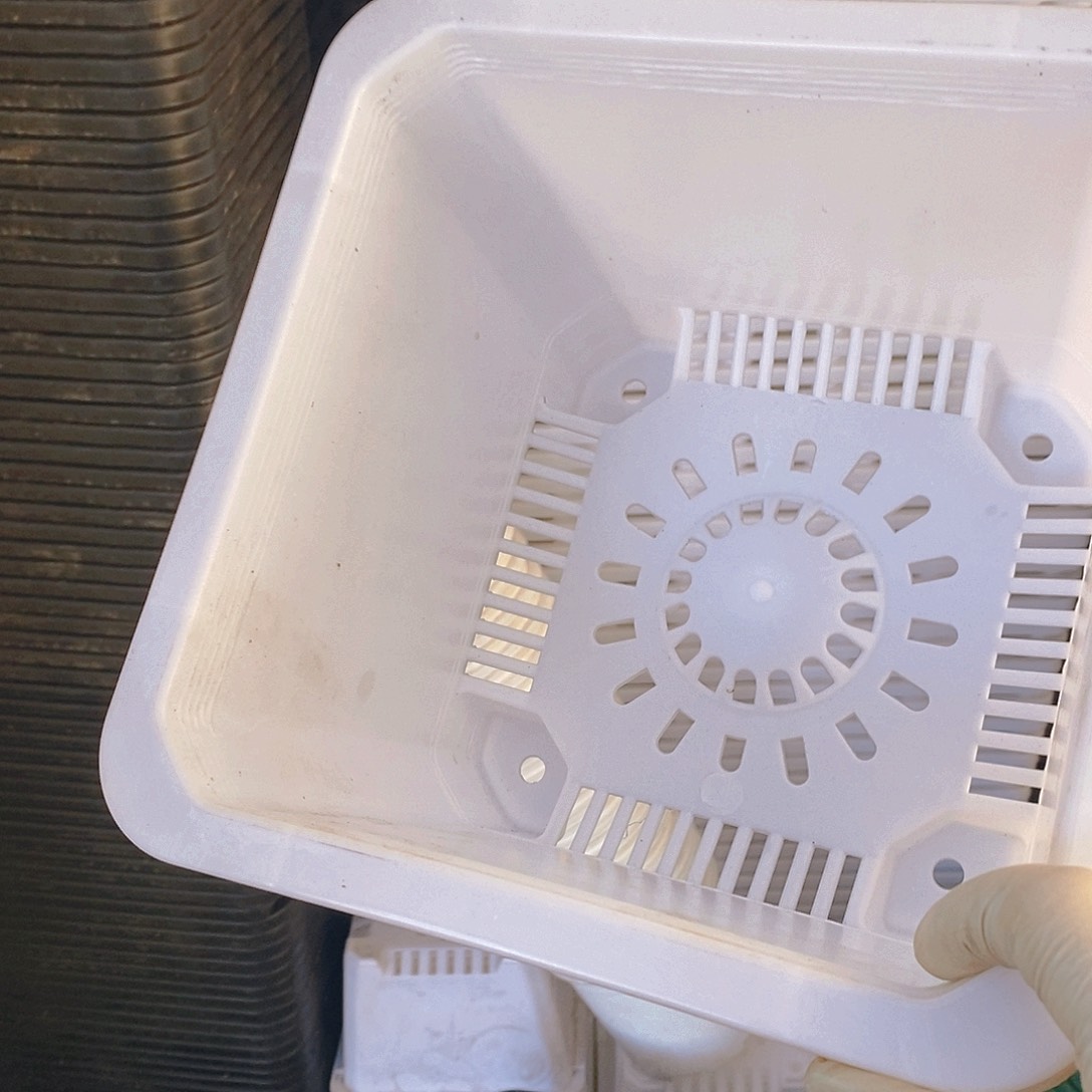 塑料新22公分白方盆5个