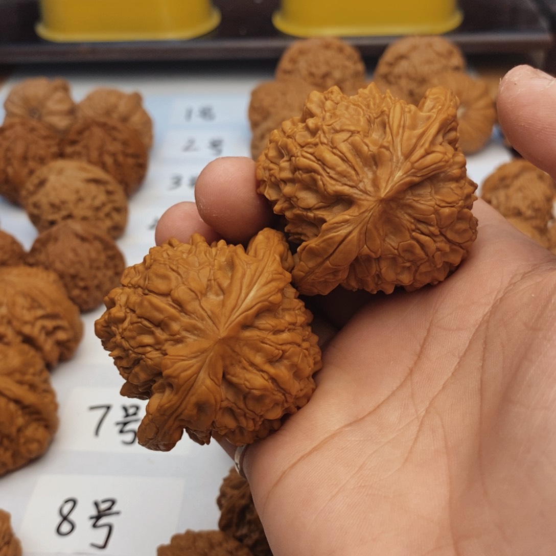 文玩核桃把件54龙鼎