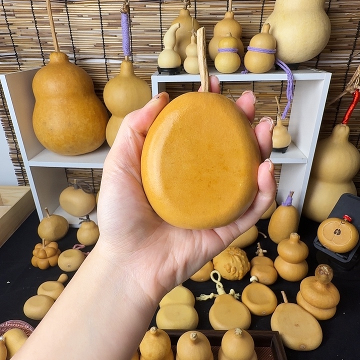 胖扁扁111111111111